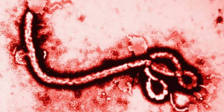 Secretaría de Salud descarta ébola en México y activa protocolos
