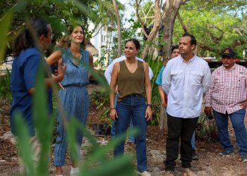 En Cancún protegemos a las tortugas marinas que llegan a nuestras playas: Ana Paty Peralta