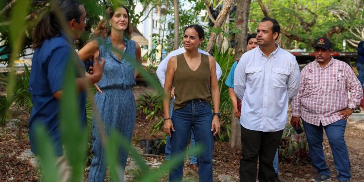En Cancún protegemos a las tortugas marinas que llegan a nuestras playas: Ana Paty Peralta