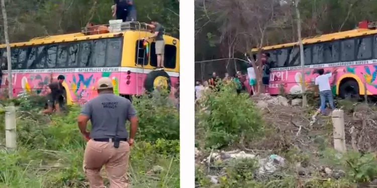Autobús de Xcaret impacta contra árboles; no hay heridos graves