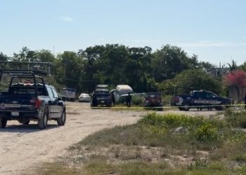 Investigan hallazgo de dos cuerpos en la Región 247 de Cancún