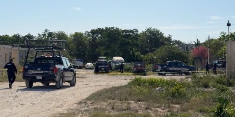Investigan hallazgo de dos cuerpos en la Región 247 de Cancún
