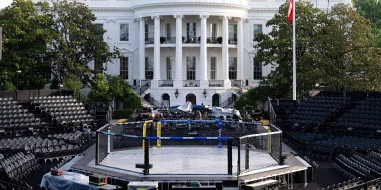 Escenario y octágono de UFC Freedom 250 instalados en los jardines de la Casa Blanca