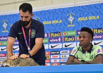 La maldición del gato y la eliminación de Brasil en el Mundial