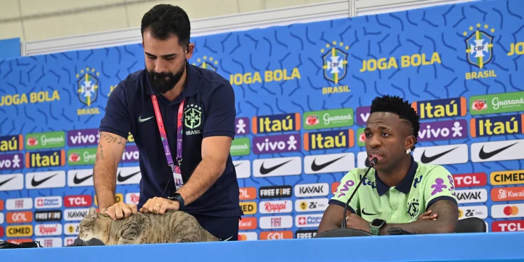 La maldición del gato y la eliminación de Brasil en el Mundial