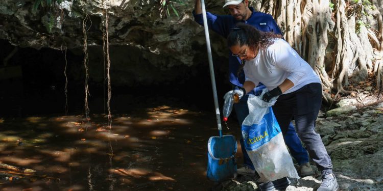 Busca Ayuntamiento de BJ fortalecer conciencia ciudadana con limpieza continua de cenotes