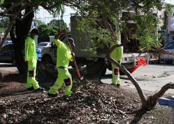Con limpieza urbana, Ayuntamiento de BJ mejora espacios públicos