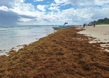 El impacto del sargazo en los costos hoteleros en Quintana Roo