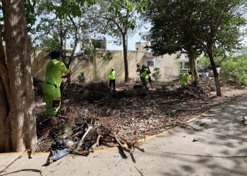 Unen esfuerzos Gobierno Municipal y vecinos de la SM 249 para transformar su comunidad