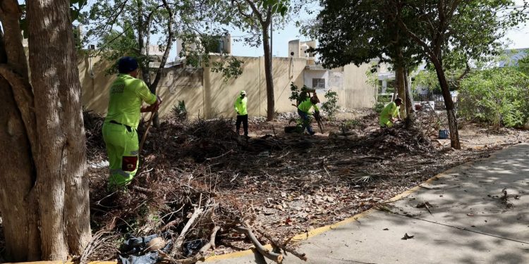 Unen esfuerzos Gobierno Municipal y vecinos de la SM 249 para transformar su comunidad