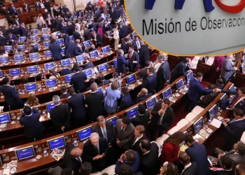 La MOE pide al Congreso regular la participación de funcionarios en política