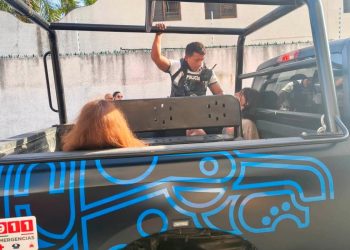 Detienen a cinco argentinos tras disturbios en Playa del Carmen después de la final