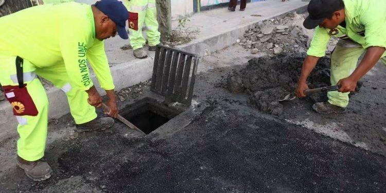 Ayuntamiento de BJ mejora imagen urbana en SM 247
