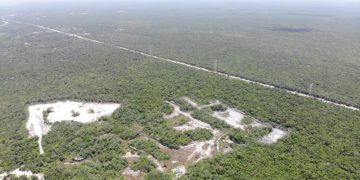 Quintana Roo perdería hasta 15 mil hectáreas de selva al cierre del año