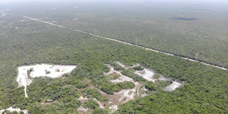 Quintana Roo perdería hasta 15 mil hectáreas de selva al cierre del año