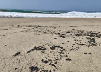 Nuevo derrame de hidrocarburo afecta cuatro playas de Oaxaca en plena temporada vacacional
