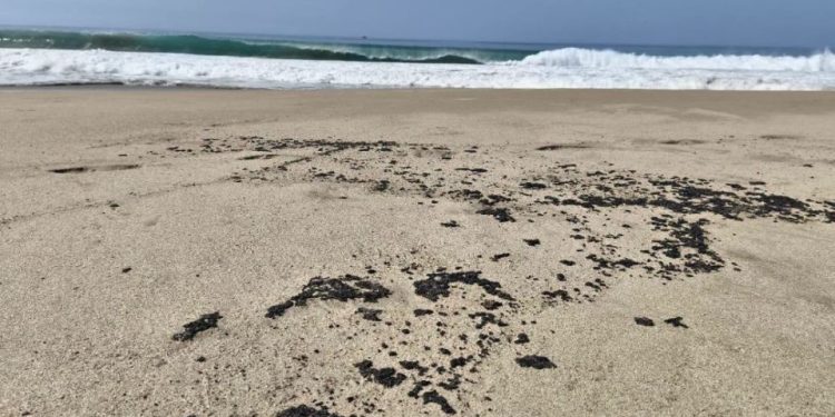 Nuevo derrame de hidrocarburo afecta cuatro playas de Oaxaca en plena temporada vacacional
