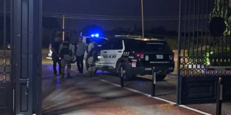 Perrito Rocky sigue grave tras ser arrastrado por camioneta en Saltillo; hay dos detenidos