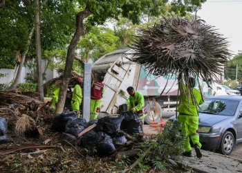 Ayuntamiento de BJ atiende la ciudad en materia de servicios públicos