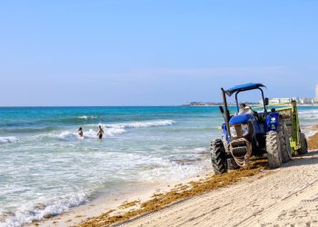 Mantiene Ayuntamiento de BJ limpieza permanente para preservar playas de Cancún