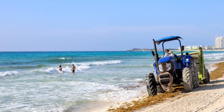 Mantiene Ayuntamiento de BJ limpieza permanente para preservar playas de Cancún