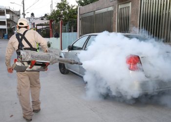 Gobierno de BJ atiende reportes ciudadanos en las SM 74 y 220