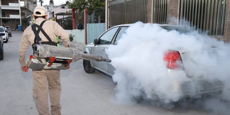 Gobierno de BJ atiende reportes ciudadanos en las SM 74 y 220