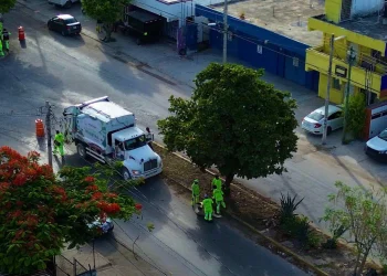 Atiende mega jornada de limpieza camellones y avenidas principales de Cancún