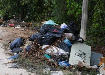 Fortalece Ayuntamiento de BJ acciones de limpieza y mantenimiento en Cancún