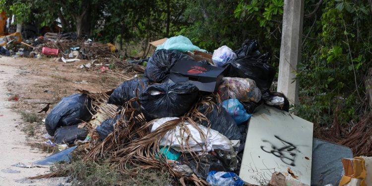 Fortalece Ayuntamiento de BJ acciones de limpieza y mantenimiento en Cancún