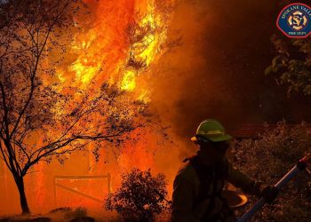EE.UU. eleva alerta por 94 incendios forestales activos