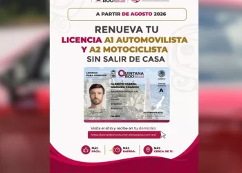 Renueva tu licencia: estos son los pasos en línea