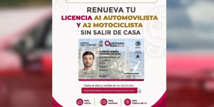 Renueva tu licencia: estos son los pasos en línea