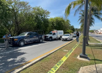 Localizan cuerpo sin vida entre manglar de la zona hotelera de Cancun