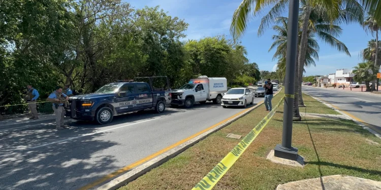 Localizan cuerpo sin vida entre manglar de la zona hotelera de Cancun