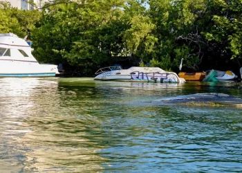 Iniciará en septiembre campaña de retiro de embarcaciones abandonadas en la Laguna Nichupté