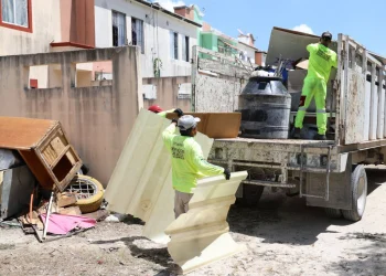 Servicios Públicos retira toneladas de cacharros en la SM. 208