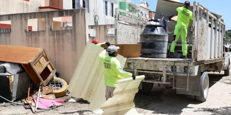 Servicios Públicos retira toneladas de cacharros en la SM. 208