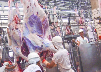China aumenta arancel del 55% a carne de Brasil tras cuota alcanzada
