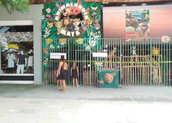 Acciones del ayuntamiento de Playa del Carmen contra la explotación animal