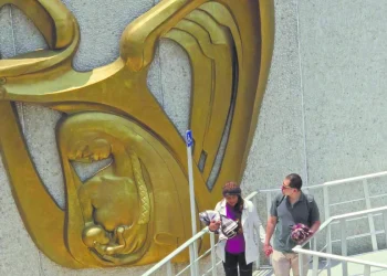 Revisa tus semanas cotizadas ante el IMSS para tu pensión