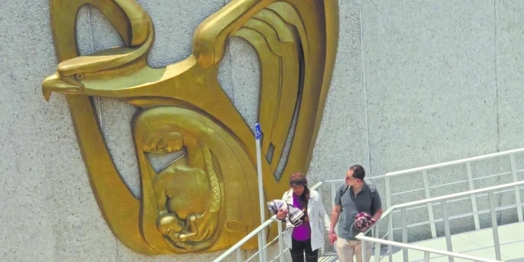 Revisa tus semanas cotizadas ante el IMSS para tu pensión