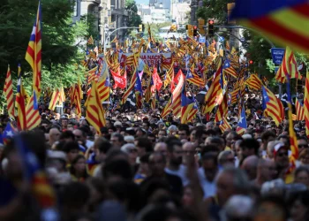45.000 personas reclaman la independencia en la Diada de Barcelona
