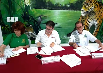 IBANQROO y UQROO firman convenio para proteger Xcacel-Xcacelito
