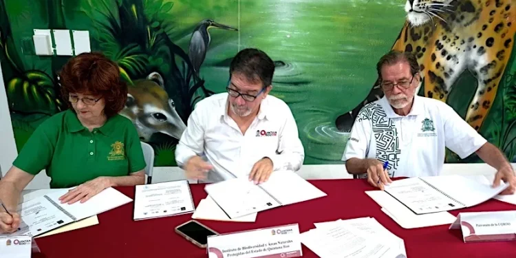 IBANQROO y UQROO firman convenio para proteger Xcacel-Xcacelito