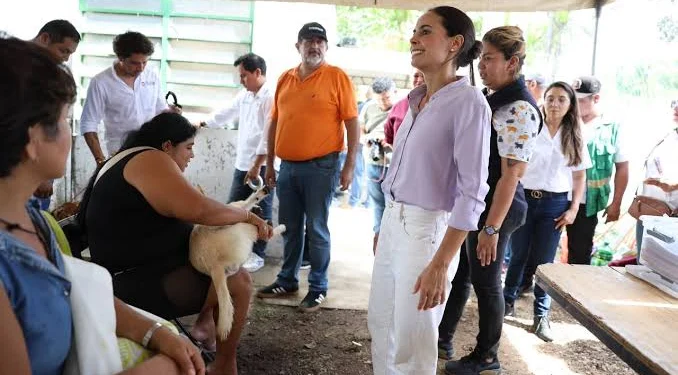 Ana Paty destaca más de mil esterilizaciones en Cancún