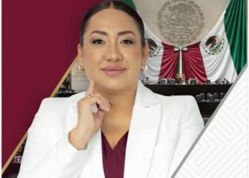 Anay Beltrán Reyes, diputada federal de Morena por el distrito 8 de Tultitlán