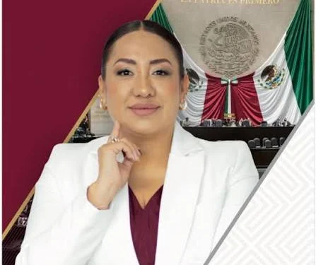 Anay Beltrán Reyes, diputada federal de Morena por el distrito 8 de Tultitlán