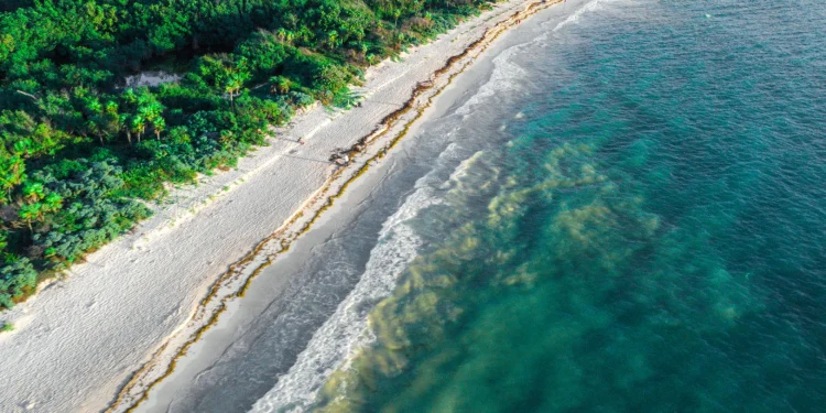 Playa del Carmen alista nueve eventos con derrama proyectada de 10 millones de pesos