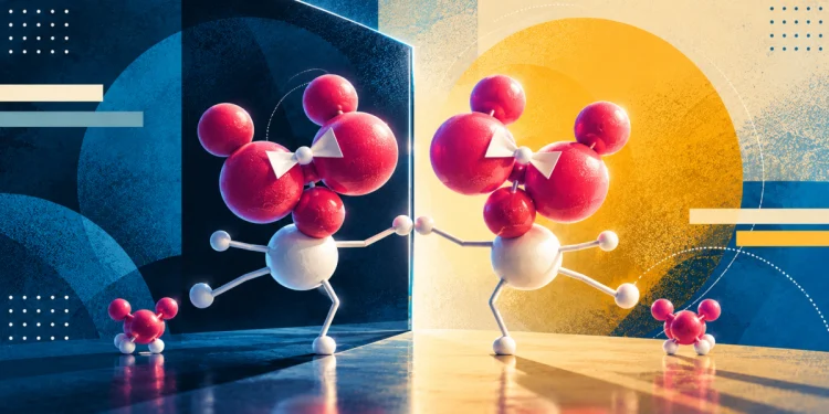 Moléculas espejo y el Nobel de Química 2026